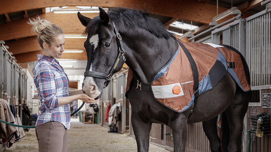BEMER Veterinary line voor de gezondheid van uw paard