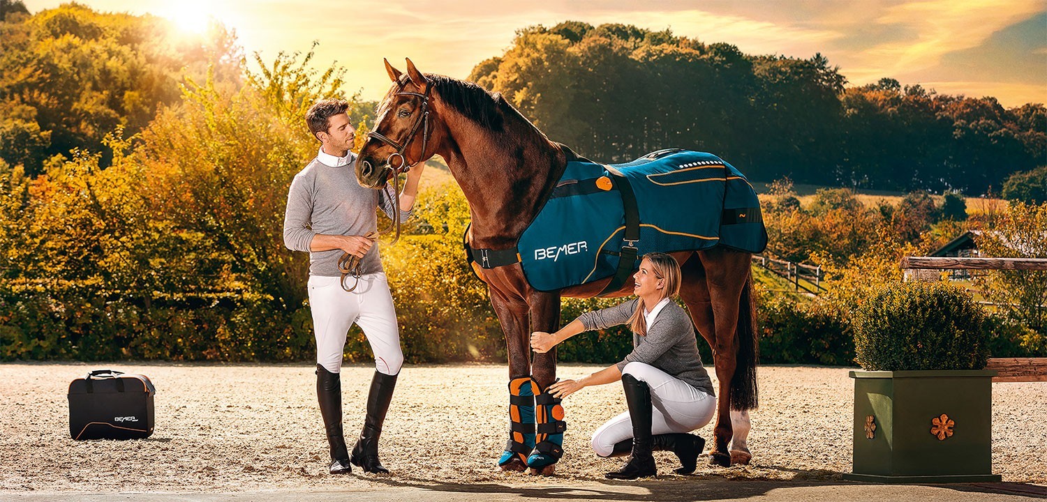 BEMER voor paarden