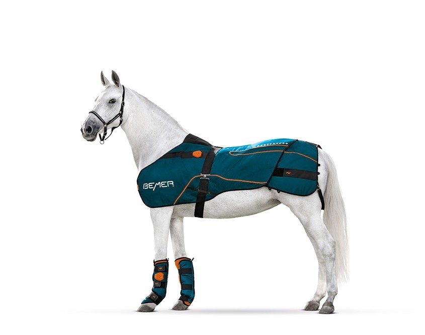 BEMER Horse-Set