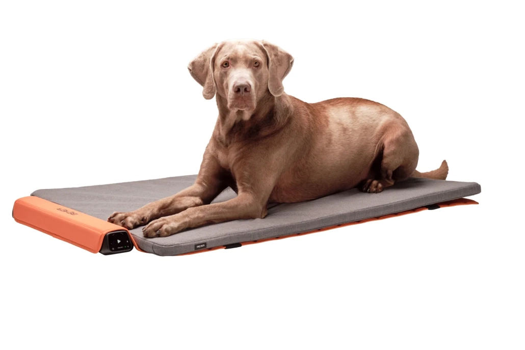 BEMER Dog Line mat BEMER Dog Line hond op mat
